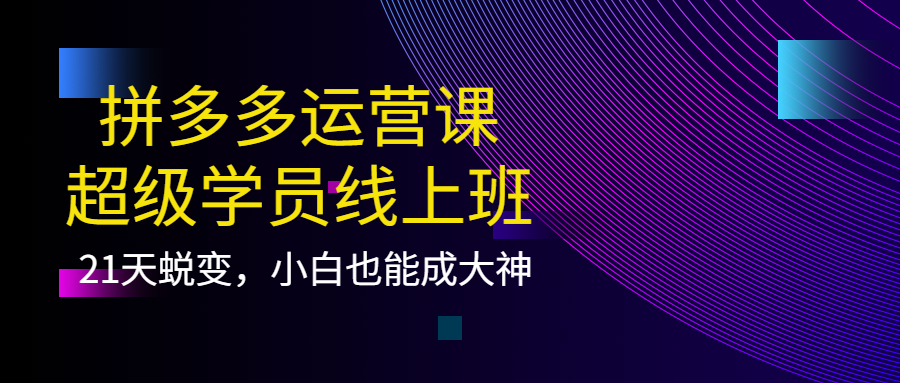 拼多多运营课：超级学员线上班，21天蜕变，小白也能成大神-布丁源码-专业的网站源码代码分享平台!
