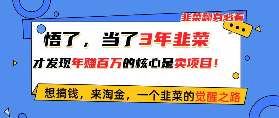 悟了，当了3年韭菜，才发现网赚圈年赚100万的核心是卖项目，含泪分享！-布丁源码-专业的网站源码代码分享平台!