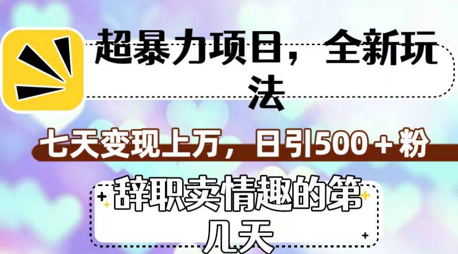 超暴利项目，全新玩法（辞职卖情趣的第几天），七天变现上万，日引500+粉-布丁源码-专业的网站源码代码分享平台!