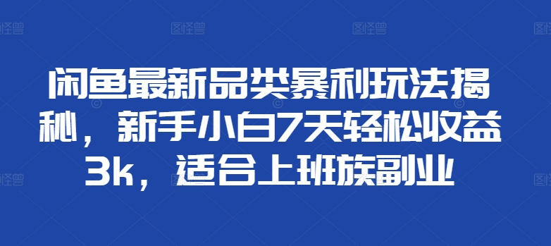 闲鱼最新品类暴利玩法揭秘，新手小白7天轻松赚3000+，适合上班族副业-布丁源码-专业的网站源码代码分享平台!