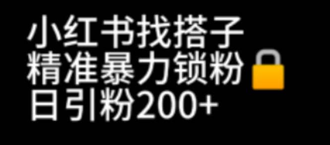 小红书找搭子暴力精准锁粉+引流日引200+精准粉-布丁源码-专业的网站源码代码分享平台!