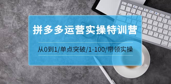 拼多多运营实操特训营：从0到1/单点突破/1-100/带领实操 价值2980元-布丁源码-专业的网站源码代码分享平台!
