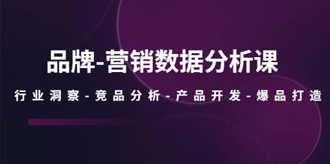 品牌-营销数据分析课，行业洞察-竞品分析-产品开发-爆品打造-布丁源码-专业的网站源码代码分享平台!