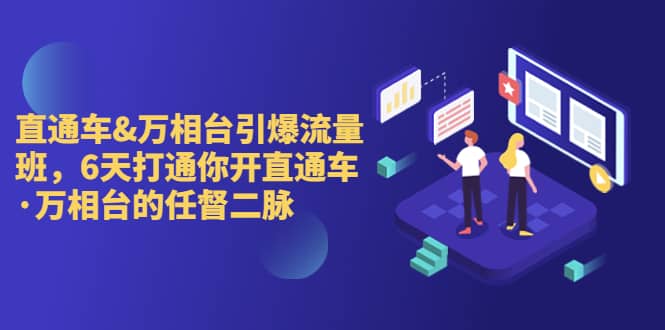 直通车+万相台引爆流量班，6天打通你开直通车·万相台的任督 二脉-布丁源码-专业的网站源码代码分享平台!