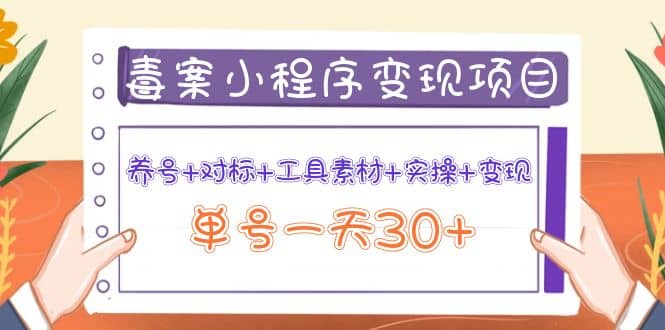毒案小程序变现项目：养号+对标+工具素材+实操+变现-布丁源码-专业的网站源码代码分享平台!