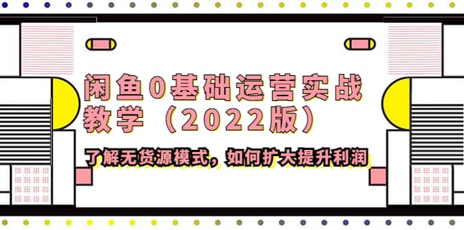 闲鱼0基础运营实战教学（2022版）了解无货源模式，如何扩大提升利润-布丁源码-专业的网站源码代码分享平台!