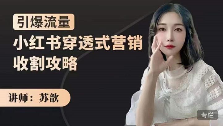 小红书穿透式营销收割攻略，引爆流量，助你玩转小红书-布丁源码-专业的网站源码代码分享平台!