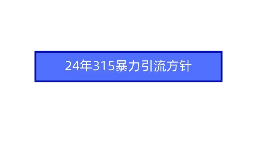 2024年315暴力引流方针-布丁源码-专业的网站源码代码分享平台!
