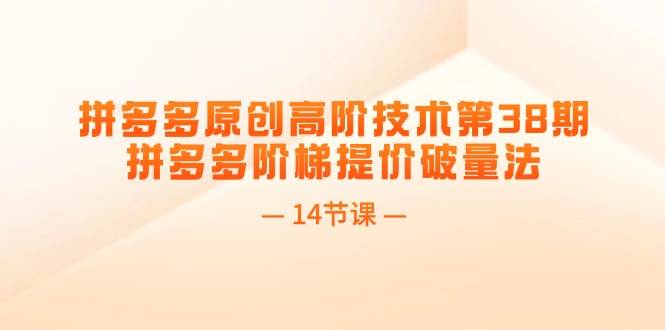拼多多原创高阶技术第38期，拼多多阶梯提价破量法（14节课）-布丁源码-专业的网站源码代码分享平台!