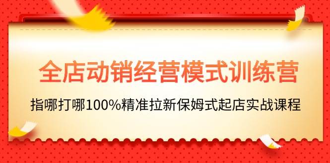 全店动销-经营模式训练营，指哪打哪100%精准拉新保姆式起店实战课程-布丁源码-专业的网站源码代码分享平台!