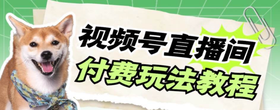 视频号美女付费无人直播，轻松日入500+【详细玩-布丁源码-专业的网站源码代码分享平台!