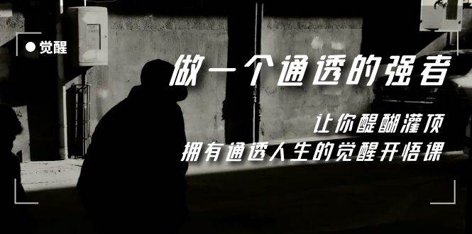 觉醒-做一个通透强者，让你醍醐灌顶，拥有通透人生，掌握强大的秘密-布丁源码-专业的网站源码代码分享平台!