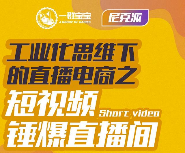 尼克派·工业化思维下的直播电商之短视频锤爆直播间，听话照做执行爆单-布丁源码-专业的网站源码代码分享平台!