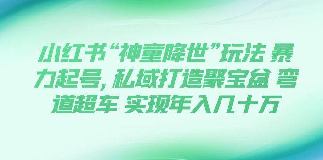小红书“神童降世”玩法 暴力起号,私域打造聚宝盆 弯道超车 实现年入几十万-布丁源码-专业的网站源码代码分享平台!