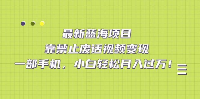最新蓝海项目，靠禁止废话视频变现，一部手机，小白轻松月入过万！-布丁源码-专业的网站源码代码分享平台!