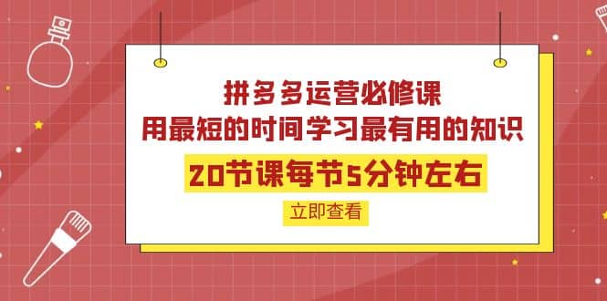 拼多多运营必修课：20节课每节5分钟左右，用最短的时间学习最有用的知识-布丁源码-专业的网站源码代码分享平台!