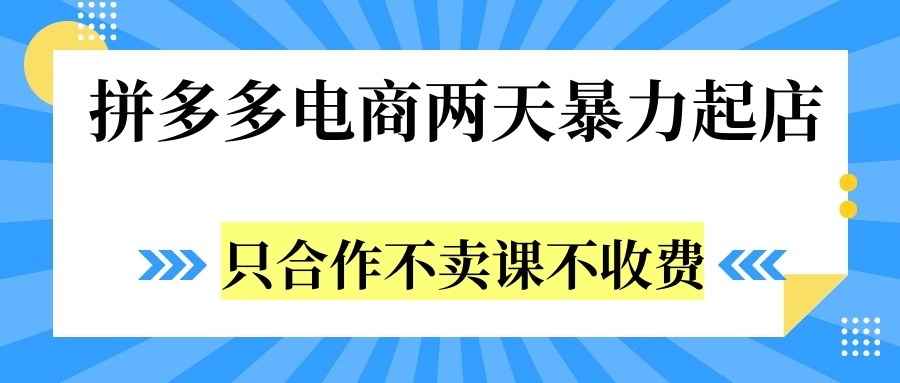 拼多多两天暴力起店，只合作不卖课不收费-布丁源码-专业的网站源码代码分享平台!