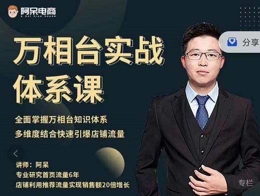阿呆-万相台实战体系课，帮您全面掌握万相台知识体系-布丁源码-专业的网站源码代码分享平台!
