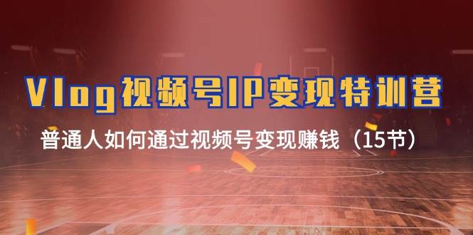 Vlog 视频号IP变现特训营，普通人如何通过视频号变现赚钱（15节）-布丁源码-专业的网站源码代码分享平台!