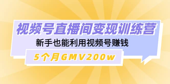 视频号直播间变现训练营-布丁源码-专业的网站源码代码分享平台!