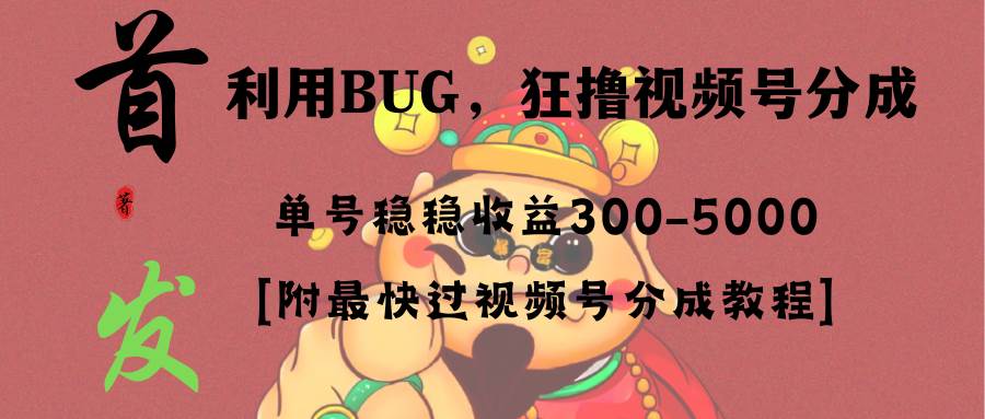 全网独家首发，视频号BUG，超短期项目，单号每日净收益300-5000！-布丁源码-专业的网站源码代码分享平台!