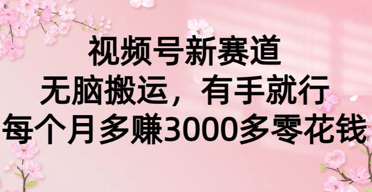 视频号新赛道，无脑搬运，有手就行，每个月多赚3000多零花钱-布丁源码-专业的网站源码代码分享平台!