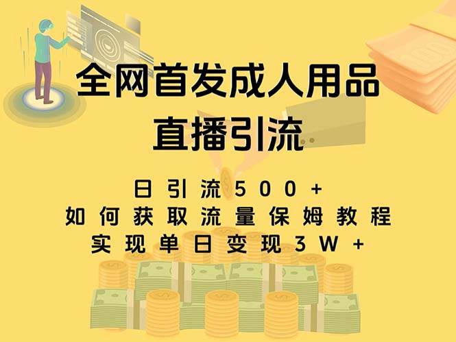 最新全网独创首发，成人用品直播引流获客暴力玩法，单日变现3w保姆级教程-布丁源码-专业的网站源码代码分享平台!