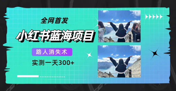 全网首发，小红书蓝海项目，路人消失术，实测一天300+（教程+工具）-布丁源码-专业的网站源码代码分享平台!