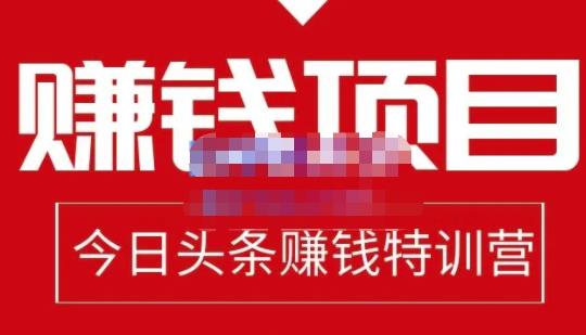 今日头条项目玩法，头条中视频项目，单号收益在50—500可批量-布丁源码-专业的网站源码代码分享平台!