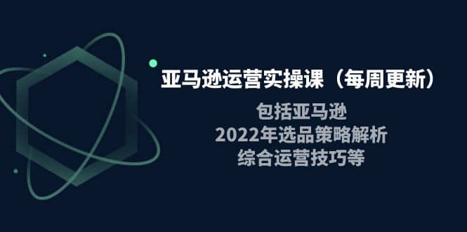 亚马逊运营实操课（每周更新）包括亚马逊2022选品策略解析，综合运营技巧等-布丁源码-专业的网站源码代码分享平台!