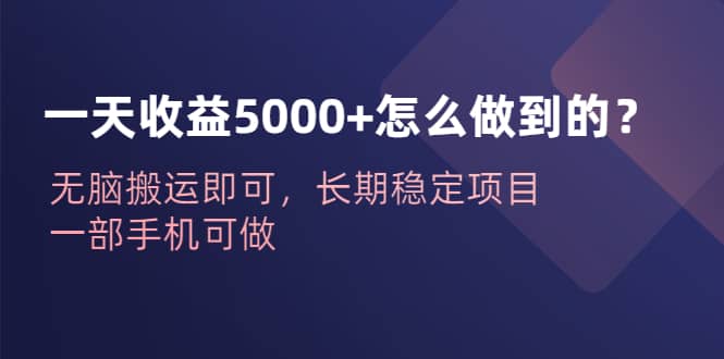 一天收益5000+怎么做到的？无脑搬运即可，长期稳定项目，一部手机可做-布丁源码-专业的网站源码代码分享平台!