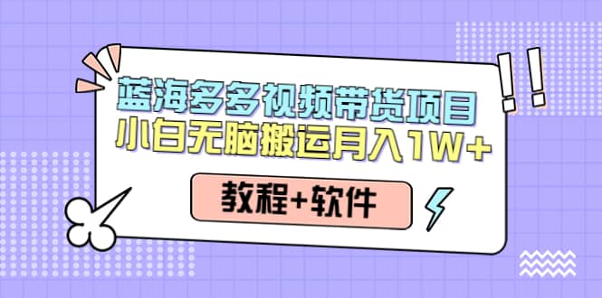人人都能操作的蓝海多多视频带货项目 小白无脑搬运（教程+软件）-布丁源码-专业的网站源码代码分享平台!