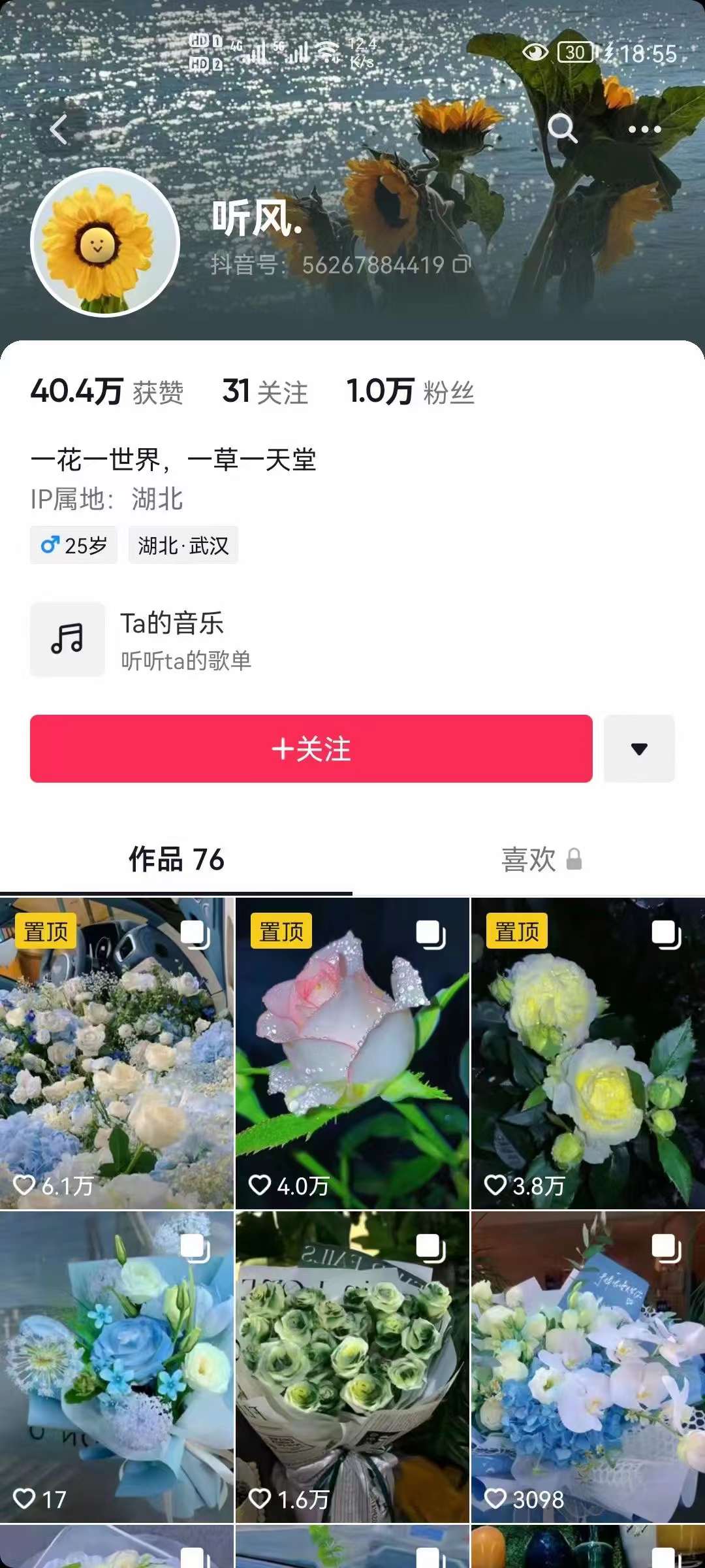 图片[2]-抖音壁纸变现项目：实战日入380+发布壁纸素材获取收益！-布丁源码-专业的网站源码代码分享平台!