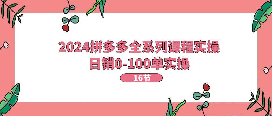 2024拼多多全系列课程实操，日销0-100单实操【16节课】-布丁源码-专业的网站源码代码分享平台!