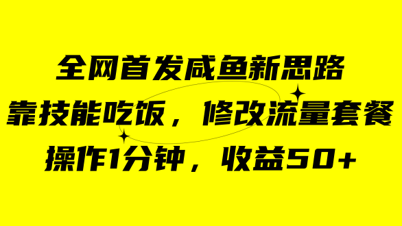 咸鱼冷门新玩法，靠“技能吃饭”，修改流量套餐，操作1分钟，收益50+-布丁源码-专业的网站源码代码分享平台!