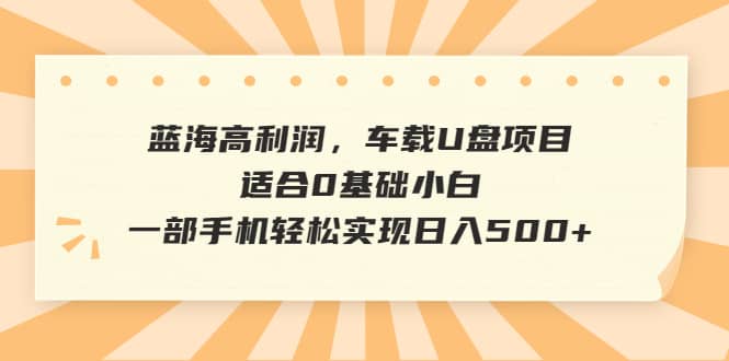 蓝海高利润，车载U盘项目，适合0基础小白，一部手机轻松实现日入500+-布丁源码-专业的网站源码代码分享平台!