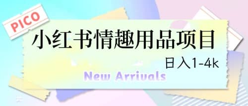 最新小红书情趣用品项目，日入1-4k-布丁源码-专业的网站源码代码分享平台!