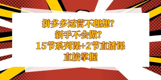 拼多多运营不理想？新手不会做？15节系列课+2节直播课，直接掌握-布丁源码-专业的网站源码代码分享平台!