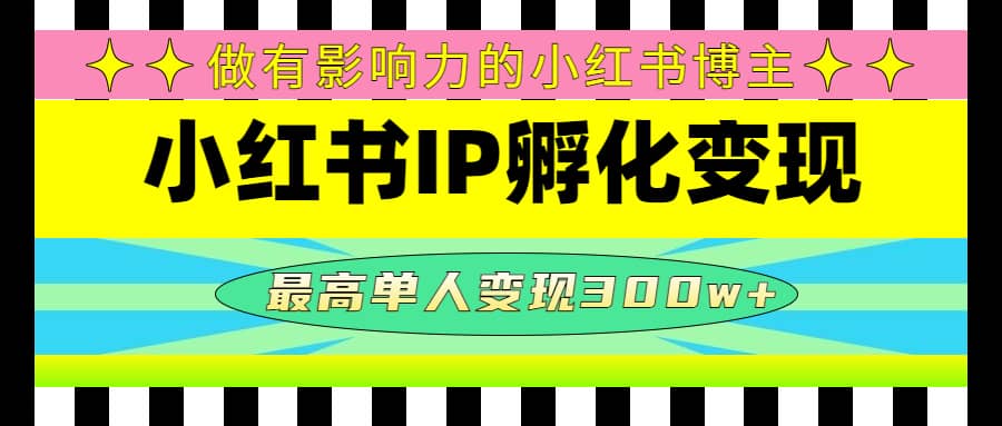 某收费培训-小红书IP孵化变现：做有影响力的小红书博主-布丁源码-专业的网站源码代码分享平台!