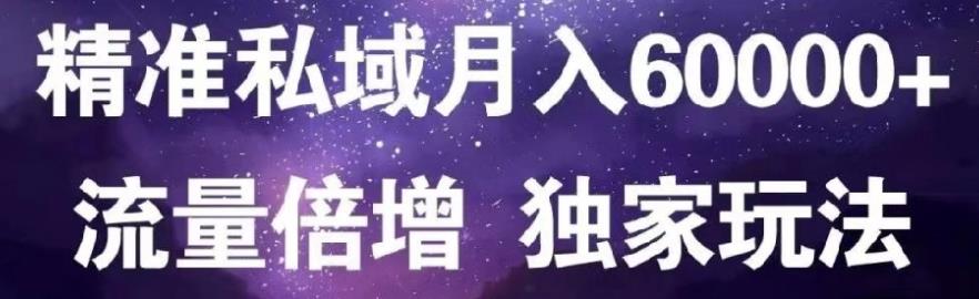 原力网赚精准私域月入60000+,流量倍增独家玩法-布丁源码-专业的网站源码代码分享平台!