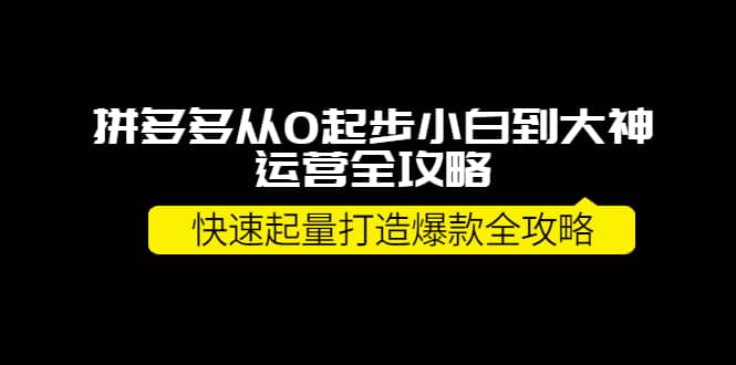 拼多多从0起步小白到大神运营全攻略-布丁源码-专业的网站源码代码分享平台!