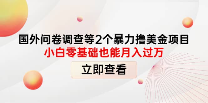 国外问卷调查等2个暴力撸美元项目，小白零基础也能月入过万-布丁源码-专业的网站源码代码分享平台!