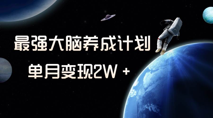 冷门虚拟项目，最强大脑养成计划，一个月变现2W＋-布丁源码-专业的网站源码代码分享平台!