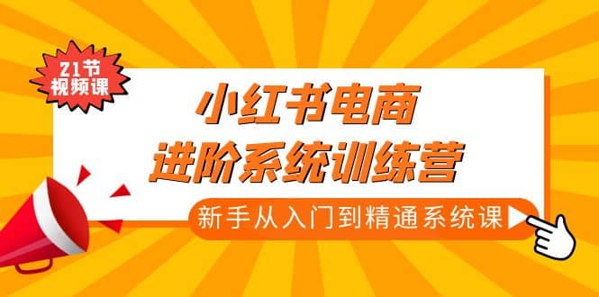 小红书电商进阶系统训练营：新手从入门到精通系统课（21节视频课）-布丁源码-专业的网站源码代码分享平台!