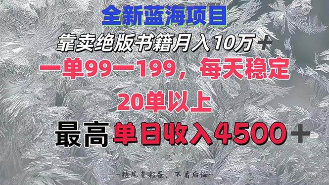 靠卖绝版书籍月入10W+,一单99-199，一天平均20单以上，最高收益日入4500+-布丁源码-专业的网站源码代码分享平台!