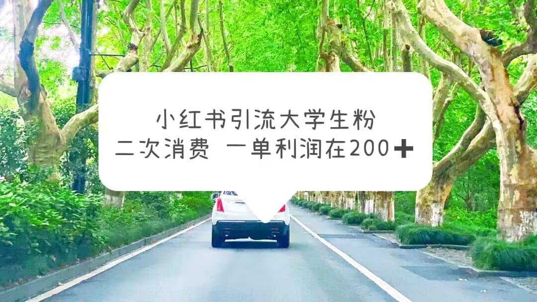 小红书引流大学生粉，变现项目，一单利润在200+（教程+资源）-布丁源码-专业的网站源码代码分享平台!