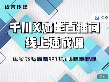 枫芸传媒-线上千川提升课，提升千川认知，提升千川投放效果-布丁源码-专业的网站源码代码分享平台!
