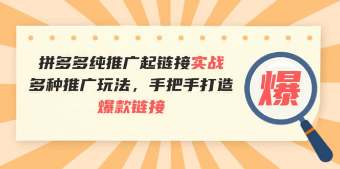 拼多多纯推广起链接实战：多种推广玩法，手把手打造爆款链接-布丁源码-专业的网站源码代码分享平台!