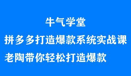 牛气学堂拼多多打造爆款系统实战课，老陶带你轻松打造爆款-布丁源码-专业的网站源码代码分享平台!
