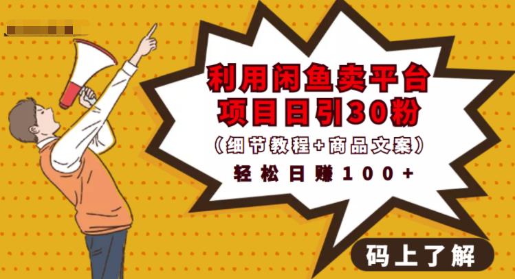 利用闲鱼卖平台项目课程资源日引流30+精准粉丝，轻松日赚100+，积累人脉可实现二次变现（细节教程+商品文案）-布丁源码-专业的网站源码代码分享平台!